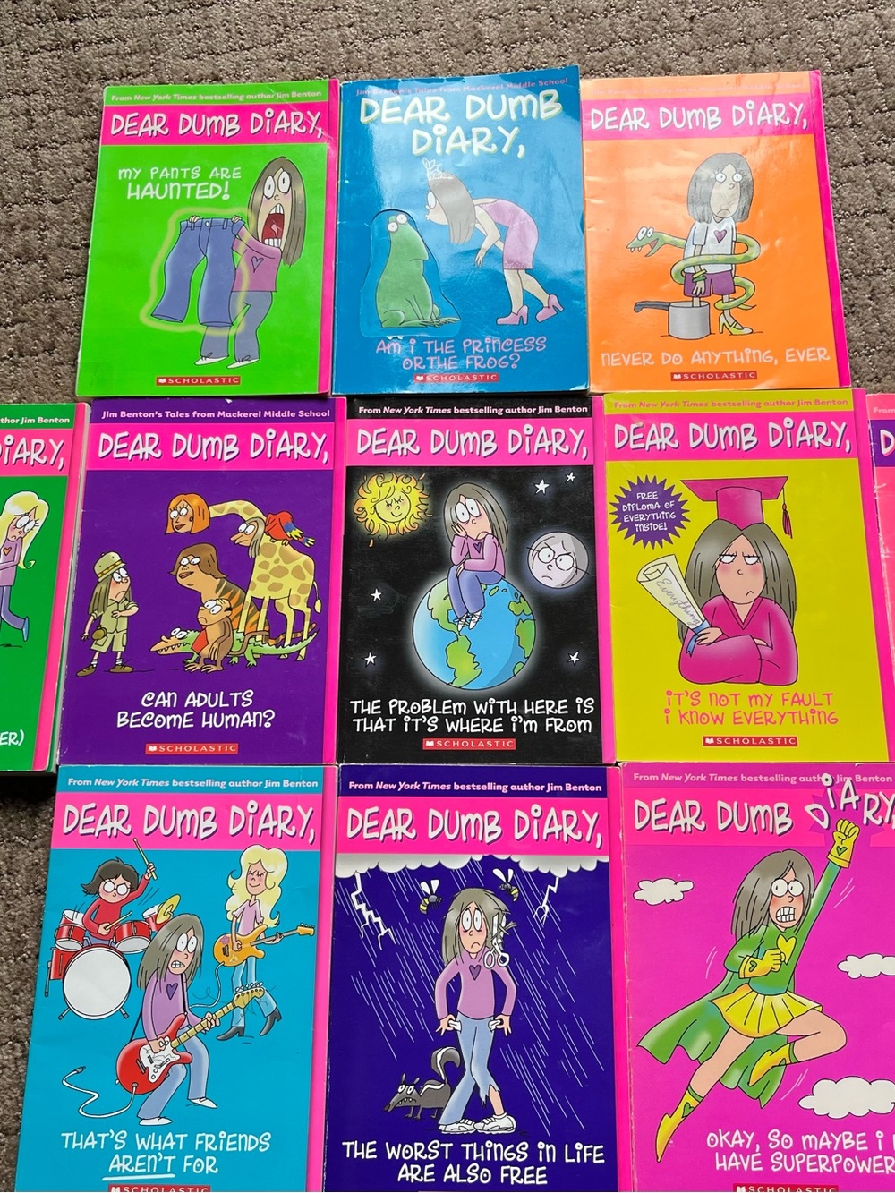 Dear Dumb Diary Book Lot